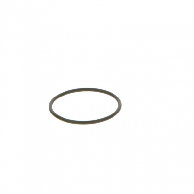 Уплотнительное кольцо топливного насоса CP4 BOSCH 1460C15005