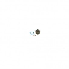 Впускной клапан плунжерной пары топливного насоса CP4 BOSCH 1462C16997 BMW VW