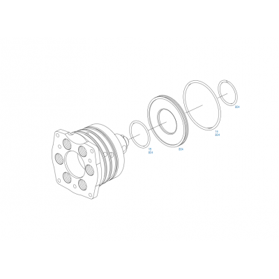 Плунжерная пара топливного насоса тнвд VP44 MAN M2000 BOSCH 1468436059