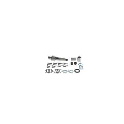 Ремкомплект вал тнвд топливного насоса CP4 12-12-001 VW Passat, bmw, ford, opel, renault, kia 1466C06034 1987972331
