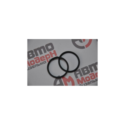 Уплотнительное кольцо плунжерной пары тнвд BOSCH 2469403022