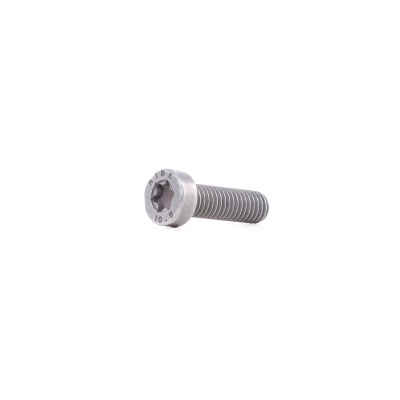 Болт крепления топливного насоса тнвд BOSCH F00N202191 Iveco Daily 3.0d