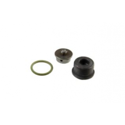 Ремкомплект впускной клапан топливного насоса тнвд BOSCH F00N202418 MAN TGA