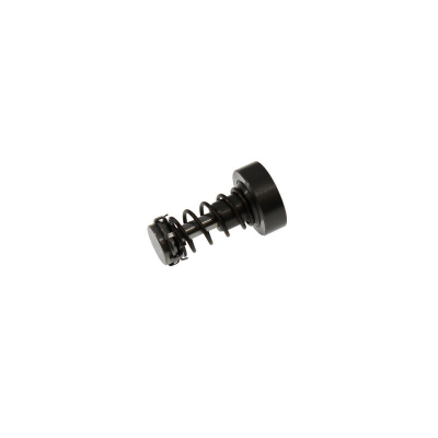 Плунжерная пара BOSCH F01M101350 ТНВД 0.8CDI 6V Smart Fortwo