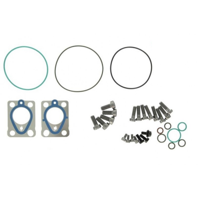 DELPHI Ремкомплект топливного насоса 7135-699 KIA Carnival 2.9