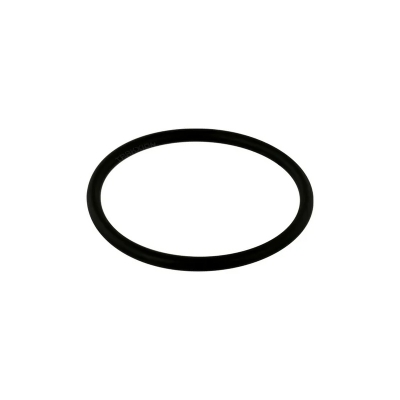 Кольцо на фланец насосу DELPHI 7190-065JY