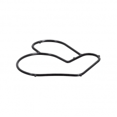 Уплотнительная прокладка тнвд BOSCH F00R0P2004 MERCEDES ACTROS MP4 EURO 6