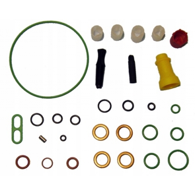 Ремкомплект ТНВД Форд Коннект Ford Connect 1.8 TDCi DELPHI 7135-539 Renault Kangoo 1.5 dci делфи