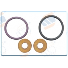 Ремкомплект DAF EURO 5 SMART INJECTOR DELPHI