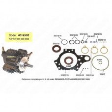 Ремкомплект тнвд топливного насоса VDO/Siemens ST-60143/03 FORD/Focus 2.0L Duratorq-TDCi