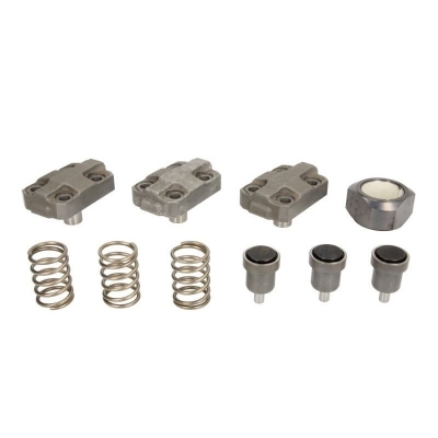 Плунжерная пара тнвд Ford Transit 2.2tdci Puma Citroen VDO/Siemens A2C3876380080
