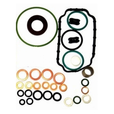 Ремкомплект ТНВД Форд Транзит 2,5 FORD TRANSIT 91-00 2.5D