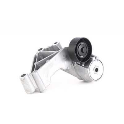 Натяжной ролик генератора ремня Ford Connect 1.8 TDCi Форд Коннект HMPX 1S4Q6A228AF