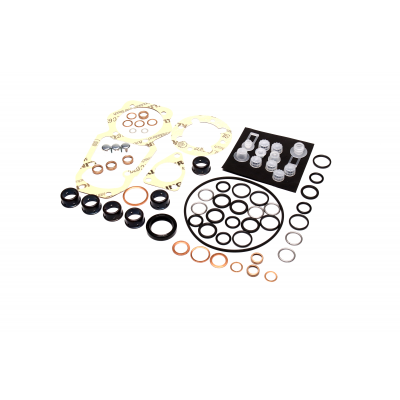 Ремкомплект ТНВД 0403446302 Mercedes-Benz OM366A 1417010008 12.232 MAN